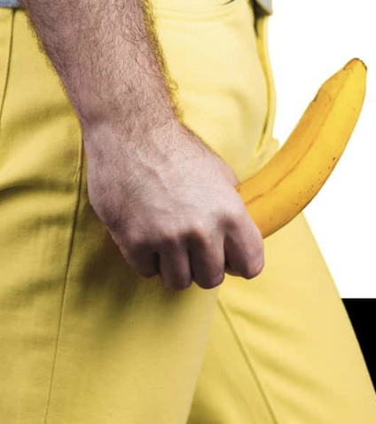 Pisang tegak sebagai ilustrasi visual hasil yang diingini
